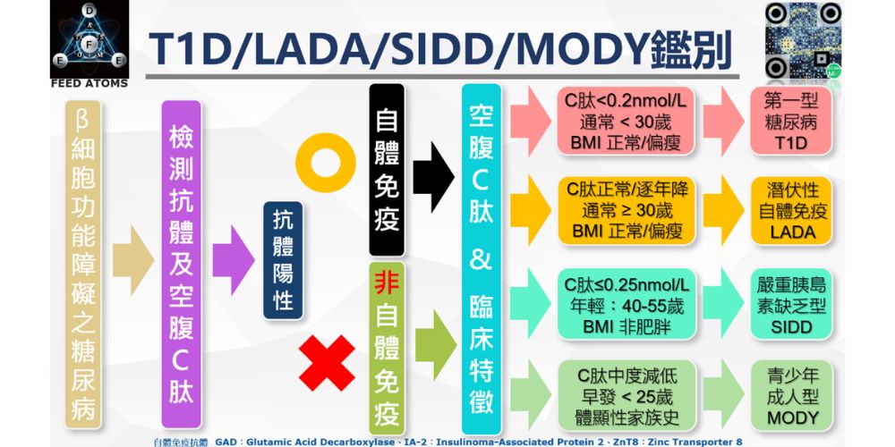 臨床鑑別診斷流程