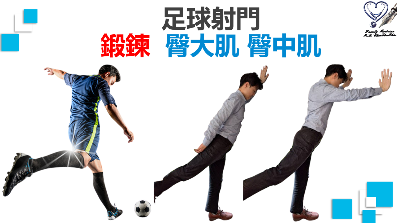遠離下交叉症候群四：訓練臀部肌群