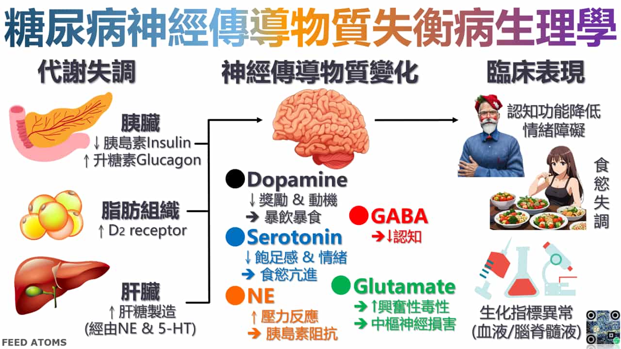 糖尿病神經傳導物質失衡病生理學