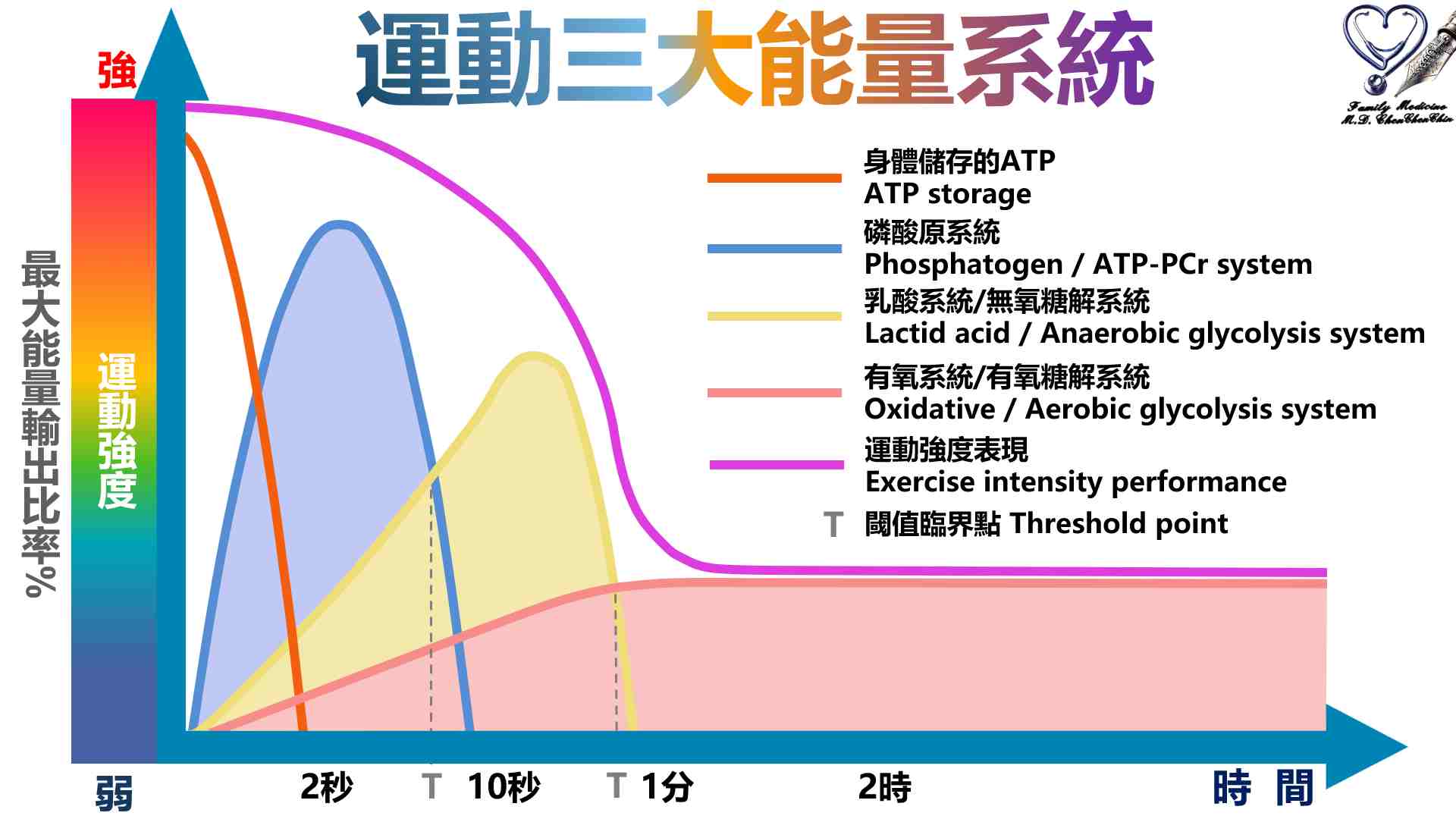 運動三大能量系統