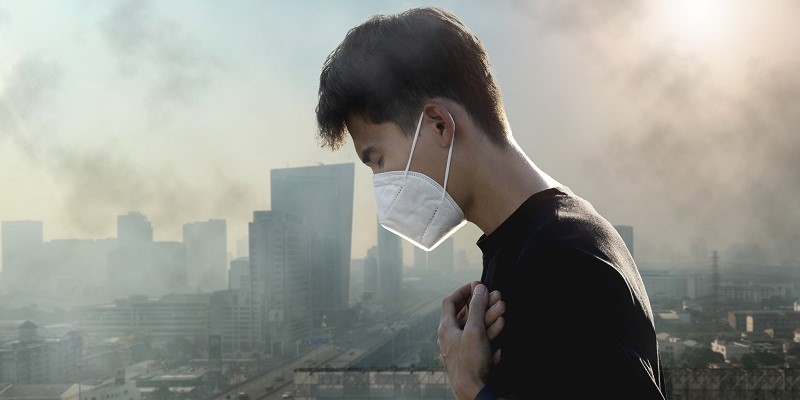 空氣污染與肺癌關係攻略：PM2.5 防護、清肺飲食與早期篩檢